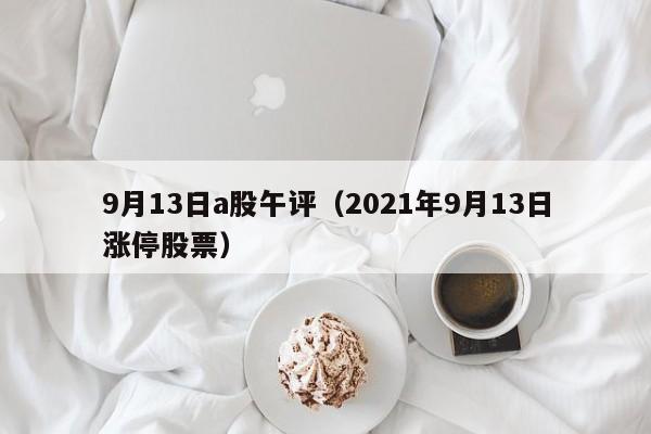 9月13日a股午评（2021年9月13日涨停股票）
