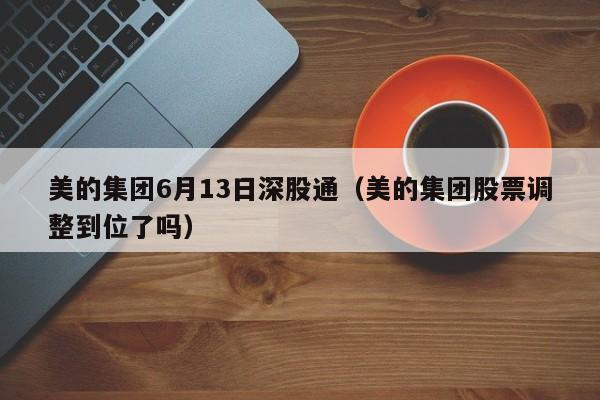 美的集团6月13日深股通（美的集团股票调整到位了吗）
