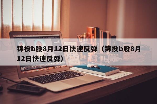锦投b股8月12日快速反弹（锦投b股8月12日快速反弹）