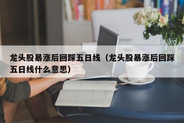 龙头股暴涨后回踩五日线（龙头股暴涨后回踩五日线什么意思）