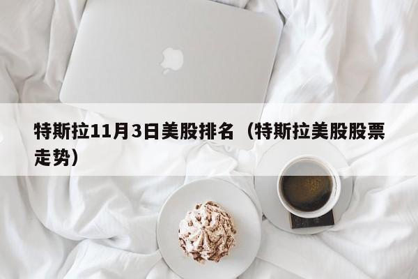 特斯拉11月3日美股排名（特斯拉美股股票走势）