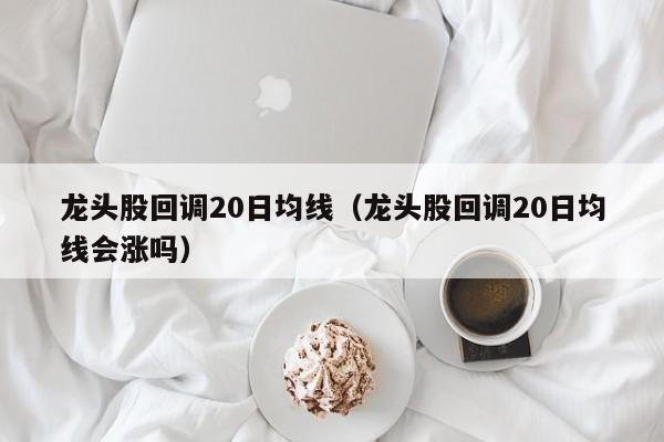龙头股回调20日均线（龙头股回调20日均线会涨吗）
