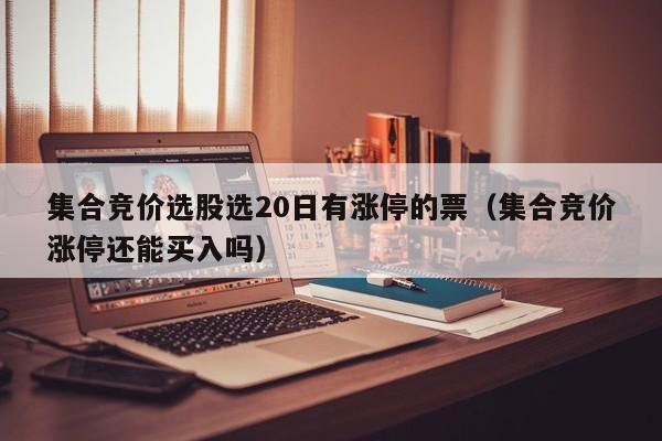 集合竞价选股选20日有涨停的票（集合竞价涨停还能买入吗）