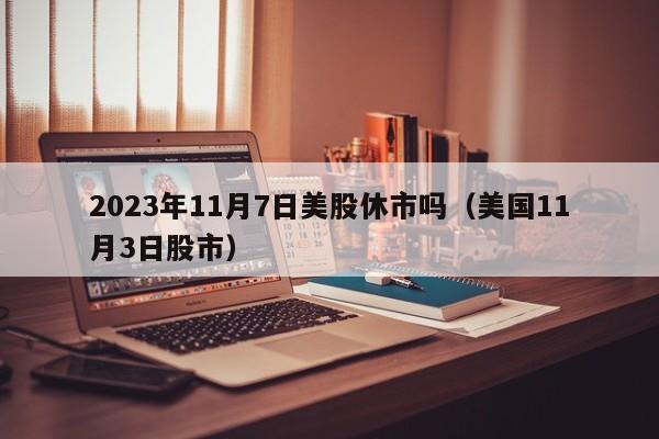 2023年11月7日美股休市吗（美国11月3日股市）