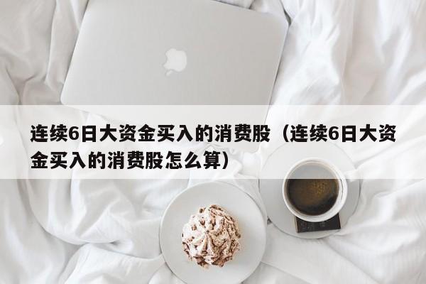连续6日大资金买入的消费股（连续6日大资金买入的消费股怎么算）