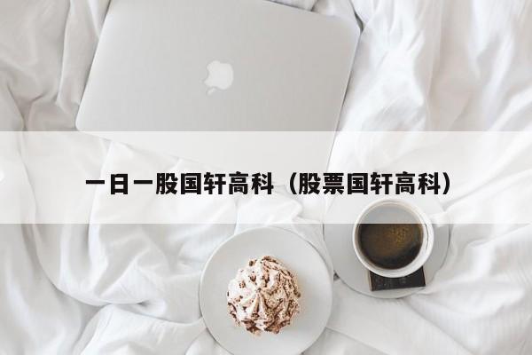 一日一股国轩高科（股票国轩高科）